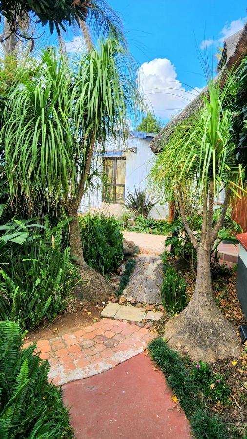 Lavender Villa No Loadshedding Kempton Park Exteriér fotografie